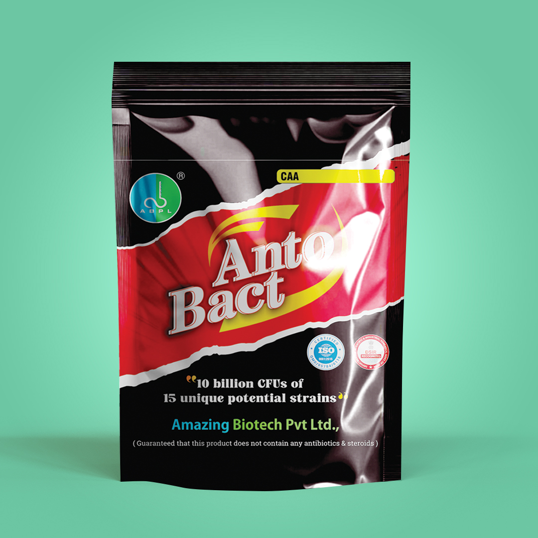 Anto Bact