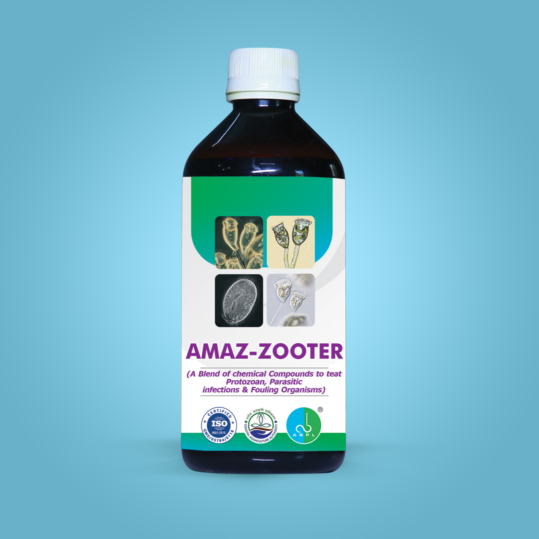 Amaz Zooter
